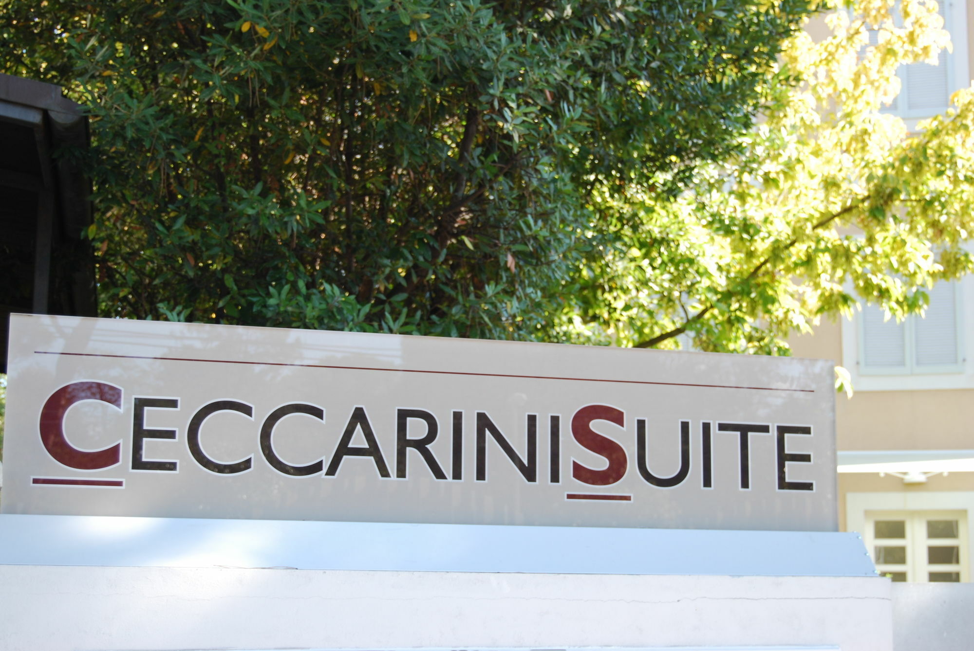 Ceccarini Suite Ριτσόνε Εξωτερικό φωτογραφία
