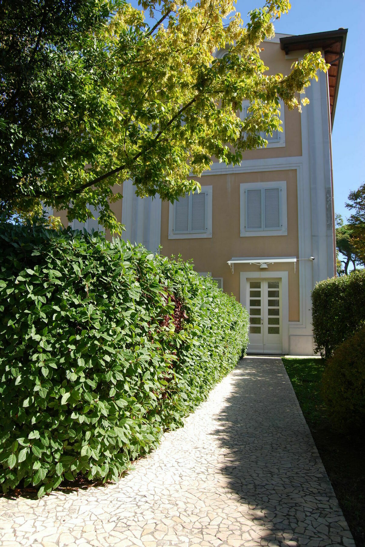 Ceccarini Suite Ριτσόνε Εξωτερικό φωτογραφία