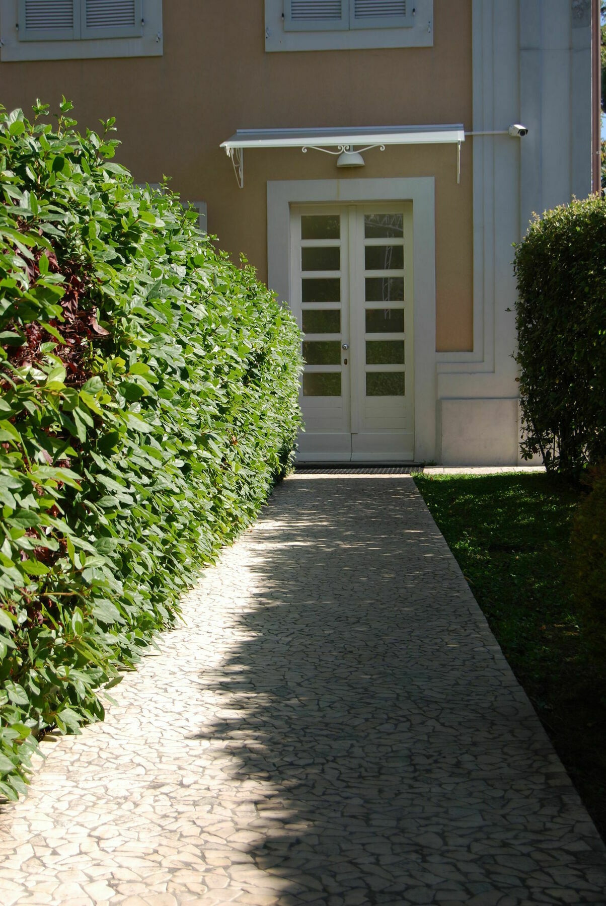 Ceccarini Suite Ριτσόνε Εξωτερικό φωτογραφία