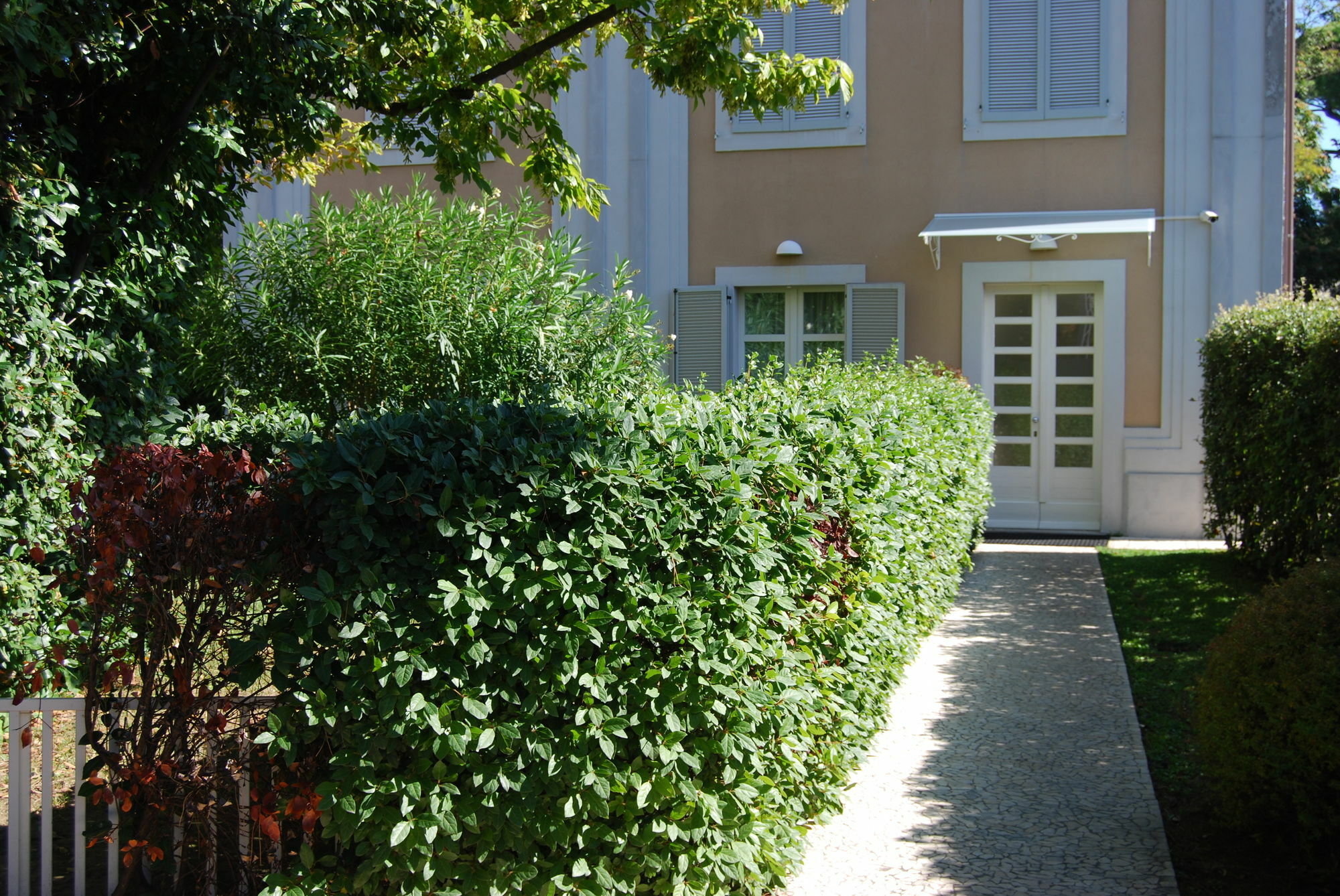 Ceccarini Suite Ριτσόνε Εξωτερικό φωτογραφία